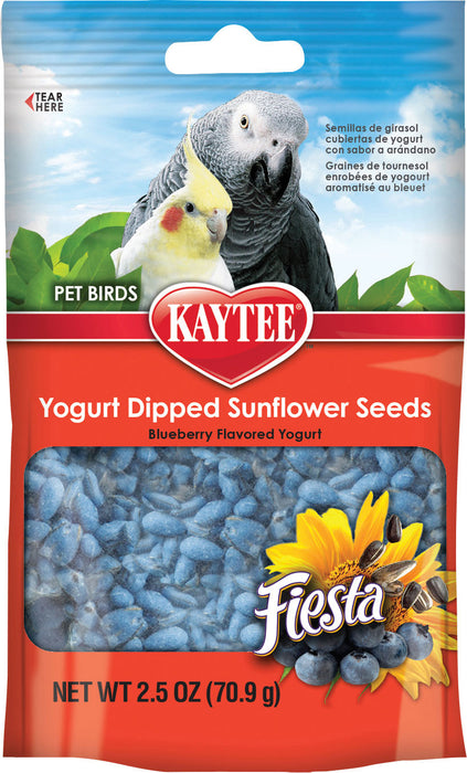 Fiesta Yogurt Dipped Sunflower Seeds
