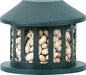 Squirrel Diner 2 Feeder