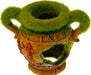 Exotic Environments Vase W/Fiber Moss