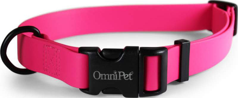 Carnival Biothane Dog Collar
