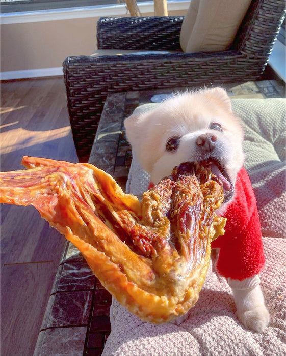 Naked Beasts Turkey Wing