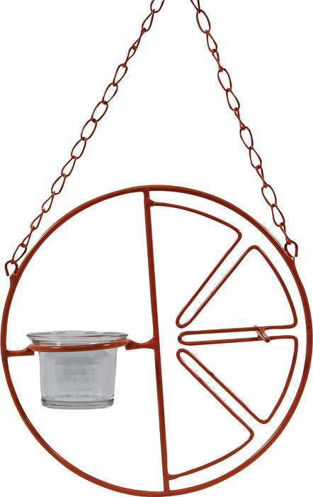 Clementine Oriole Feeder