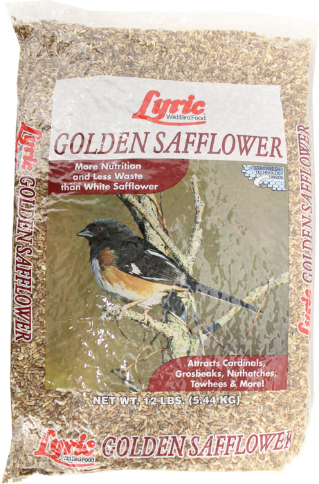 Lyric Golden Safflower