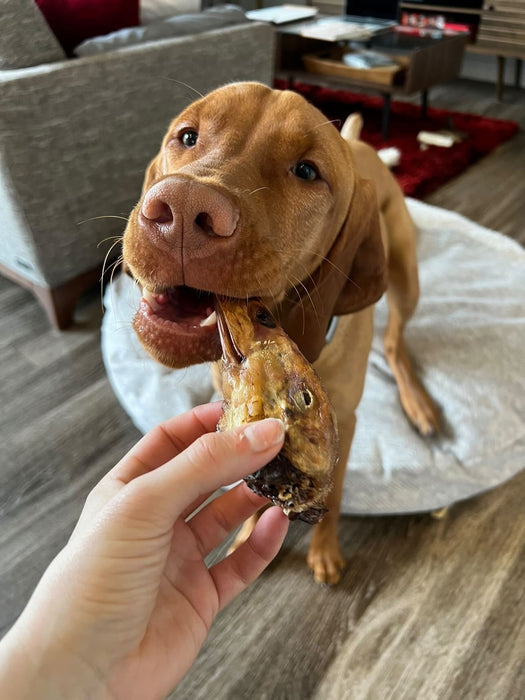 Naked Beasts Duck Heads (ABF)