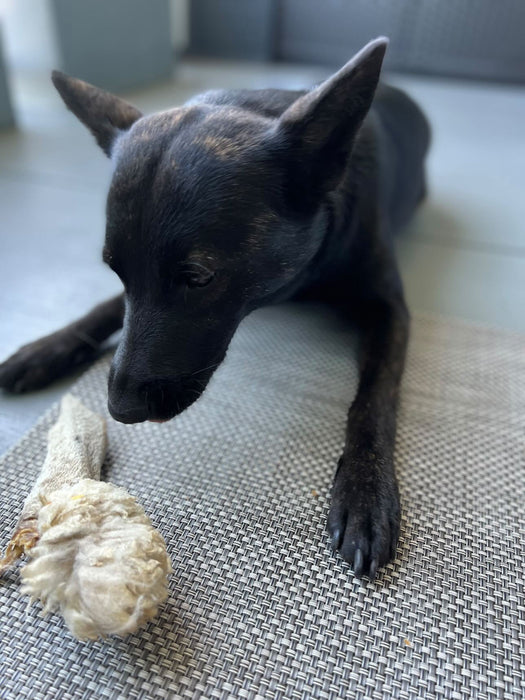 Naked Beasts Lamb Ears (Furry & Non Fur)