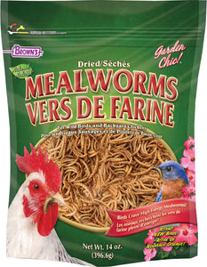 Garden Chic! Mealworms