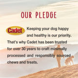 Cadet Gourmet Duck Breast Treats for Dogs 3 Ounce (Pack of 1)