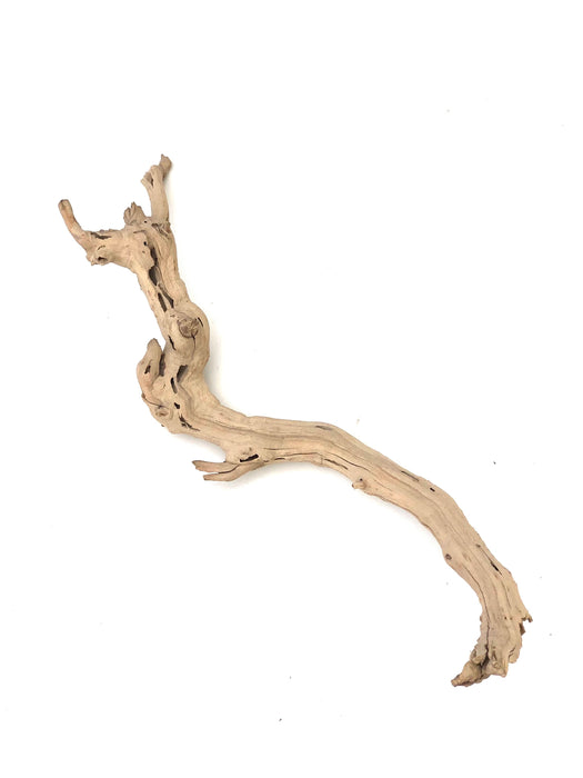 Sublime Vines Sandblasted Grapevine Decor MD