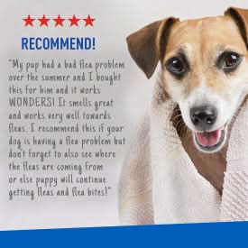 Adams Plus Flea & Tick Shampoo with Precor 12 fluid ounces