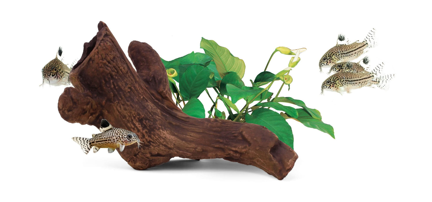 aquavitro Ceramic Hides Aquatic Ornament B2 One Size