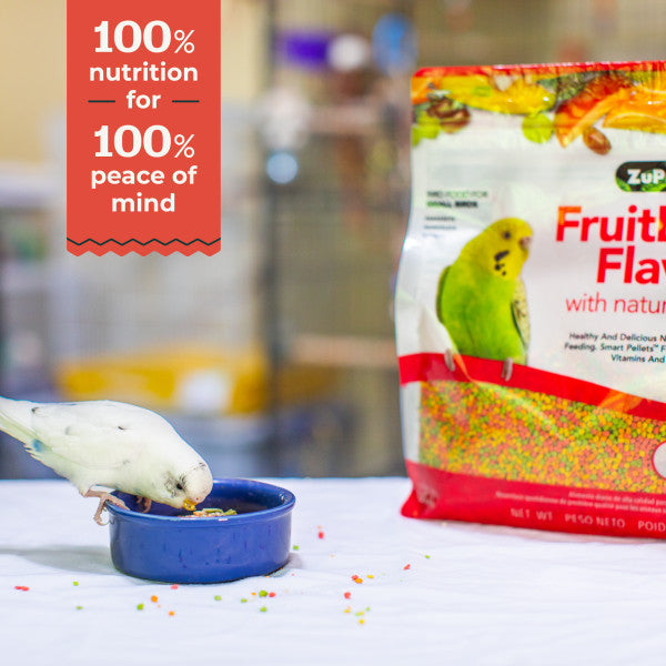 ZuPreem FruitBlend Bird Food Small Birds - Parakeets (Budgies), Parrotlets 10lb