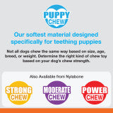 Nylabone Puppy Chew Starter Kit Chew Toy with Nubz Chew Treat Variety Small (1 Count)