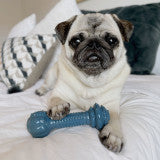 Nylabone Power Chew Love Our Oceans Barbell Dog Chew Toy Bacon Medium (1 Count)
