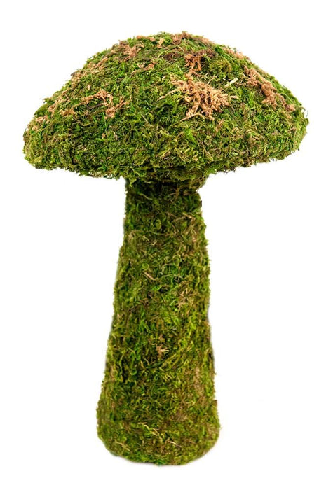 Galapagos Moss Mushroom Decorative Terrarium Ornament Fresh Green 11in SM