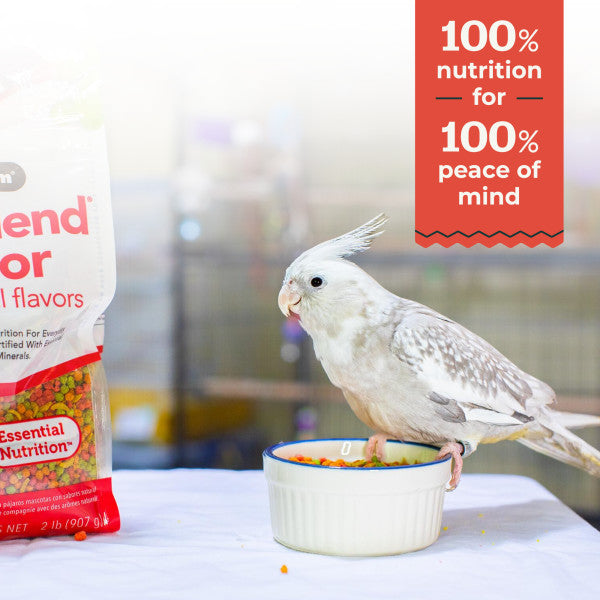 ZuPreem FruitBlend Bird Food Medium Birds for Cockatiels, Lovebirds, Conures, Quakers 10lb