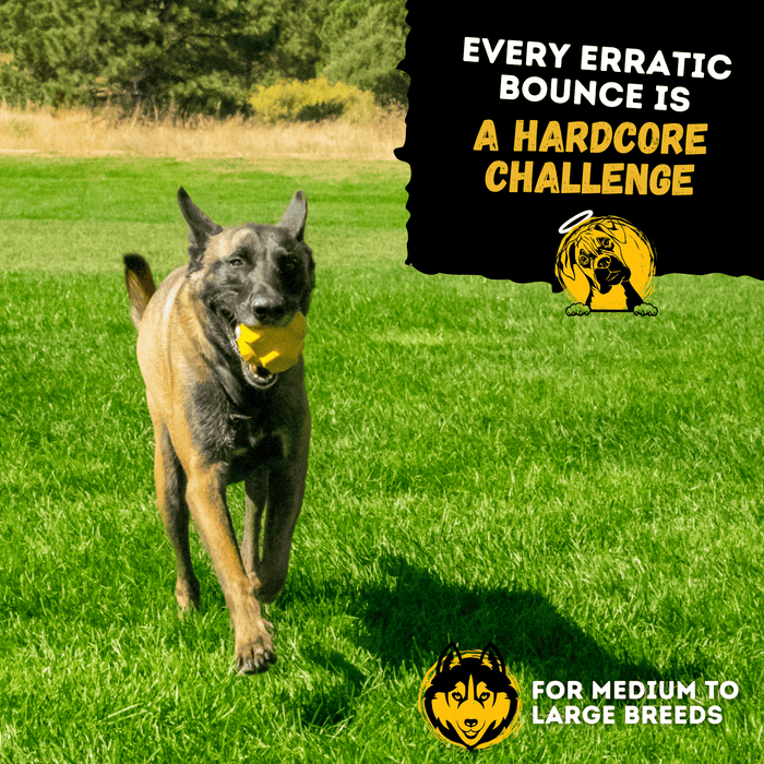 Monster K9 Dog Toys Jumping Jack