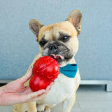 Nylabone Strong Chew Rubber Stuffable Cone Dog Treat Toy Bacon Red Small (1 Count)