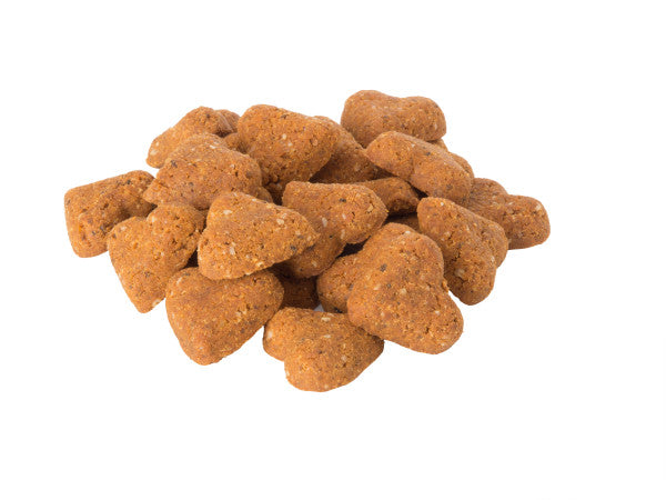 Darford Grain Free Dog Biscuits Cheddar Cheese Recipe Mini 12 oz
