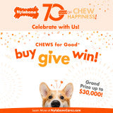 Nylabone Power Chew Donut Dog Chew Toy 70th Birthday Orange Pumpkin & Peanut Butter Large (1 Count)