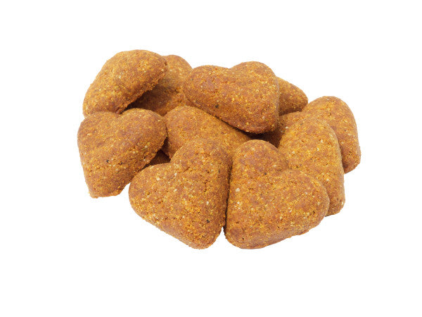 Darford Grain Free Dog Biscuits Bacon Recipe Regular 12 oz