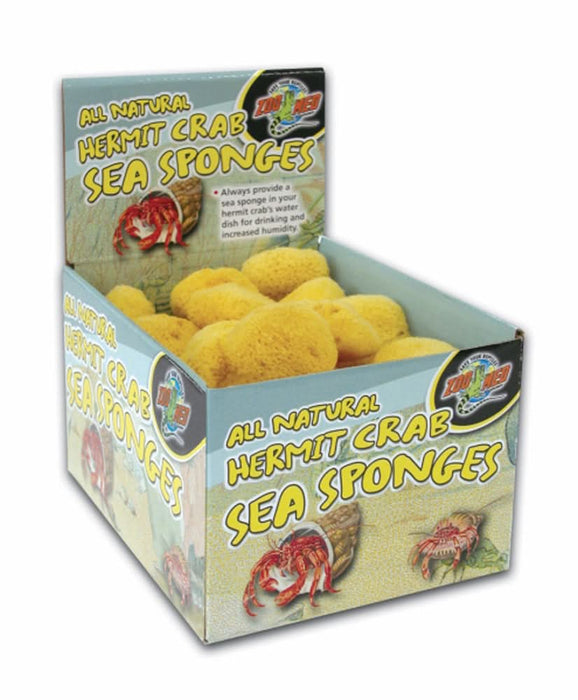 Zoo Med All Natural Hermit Crab Sea Sponge Yellow 36 Count (Pack of 36)