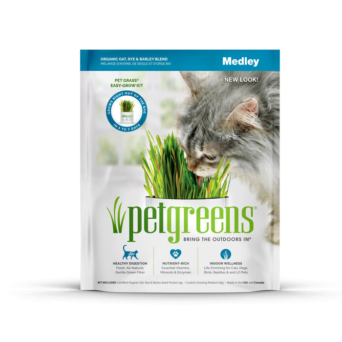 Pet Greens Medley Pet Grass Self-Grow Kit Organic Oat, Rye, & Barley Blend 3oz - Image 2