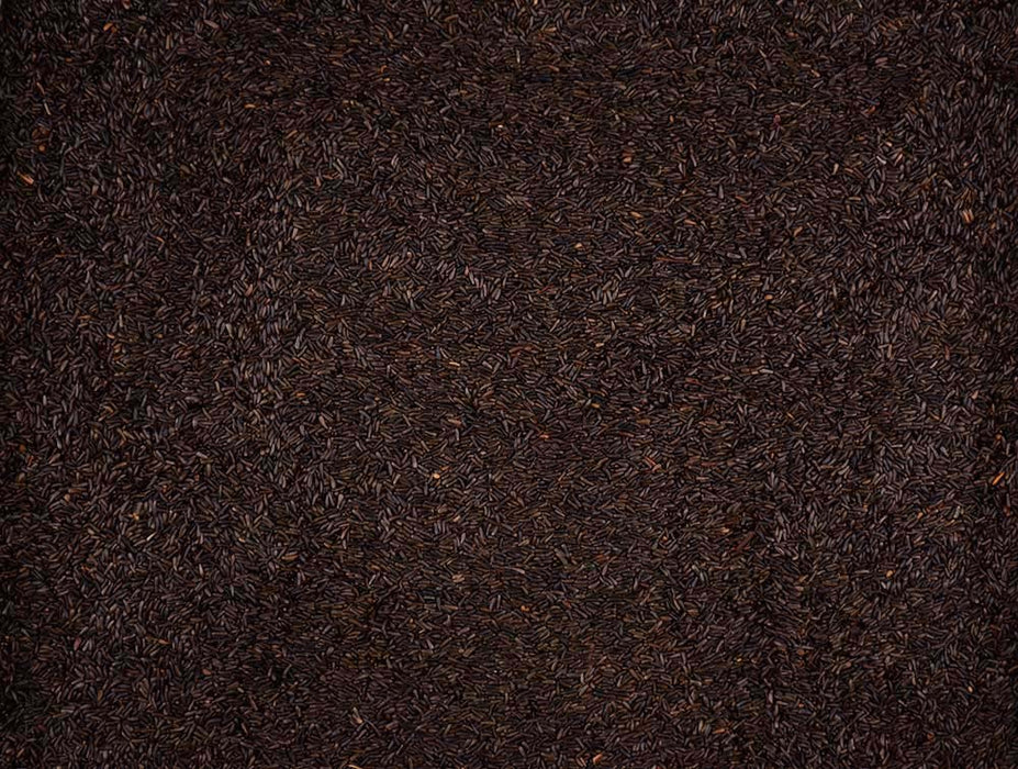 Volkman Seed Company Winner's Cup Single Seed Nyjer Thistle Seed Bird Food 20 lb