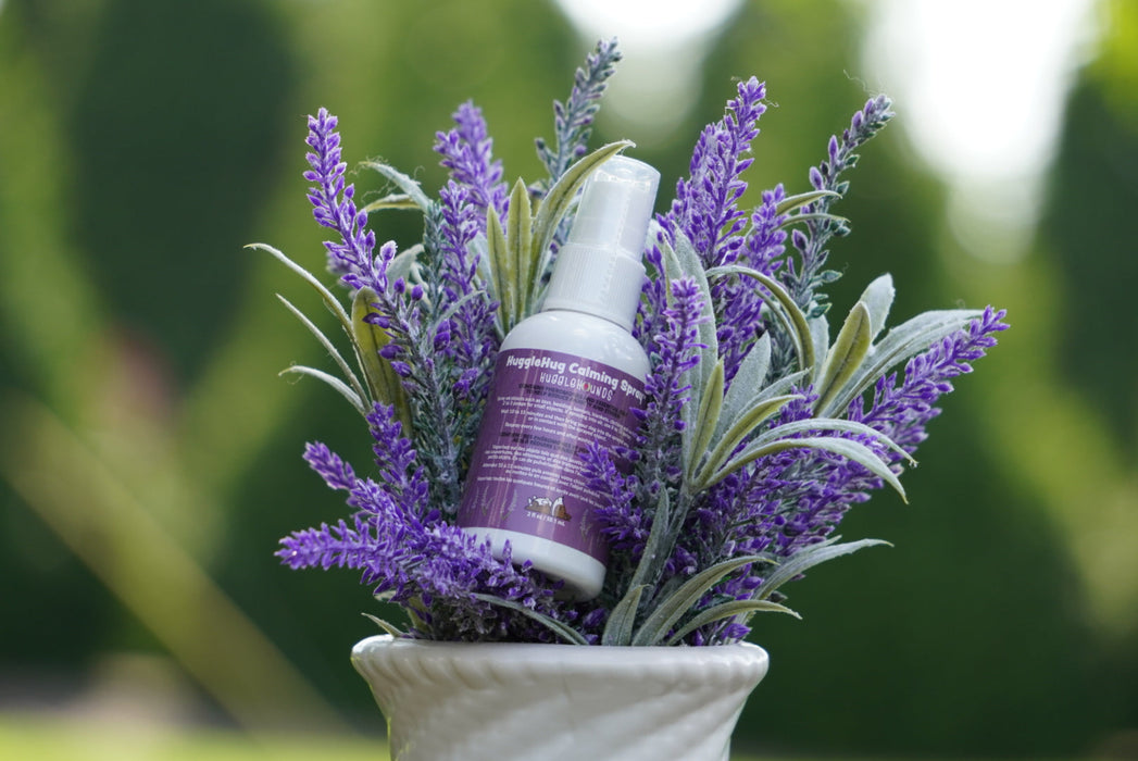 HuggleHounds HuggleHug™ Lavender Calming Spray for Dogs, 2oz