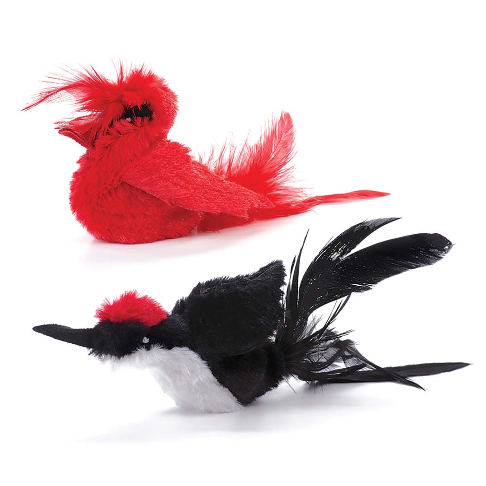 Cat Toys