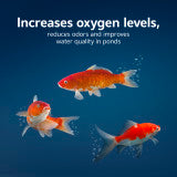 Aqueon Pure Sludge Bomb 1-pack