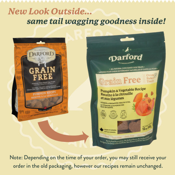 Darford Grain Free Pumpkin Recipe Biscuits Regular 12oz