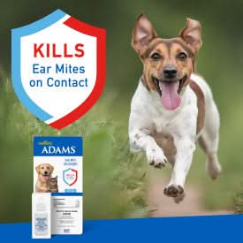 Adams Ear Mite Treatment Clear 0.5 fluid ounces