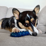 Nylabone Power Chew Love Our Oceans Infinity Braid Bone Dog Chew Toy Bully Stick Medium (1 Count)