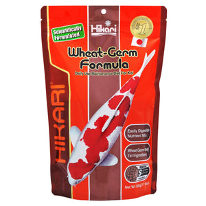 Hikari USA Wheat-Germ Floating Pellet Fish Food for Koi, Goldfish and Other Pond Fishes 17.6oz Mini - Image 2