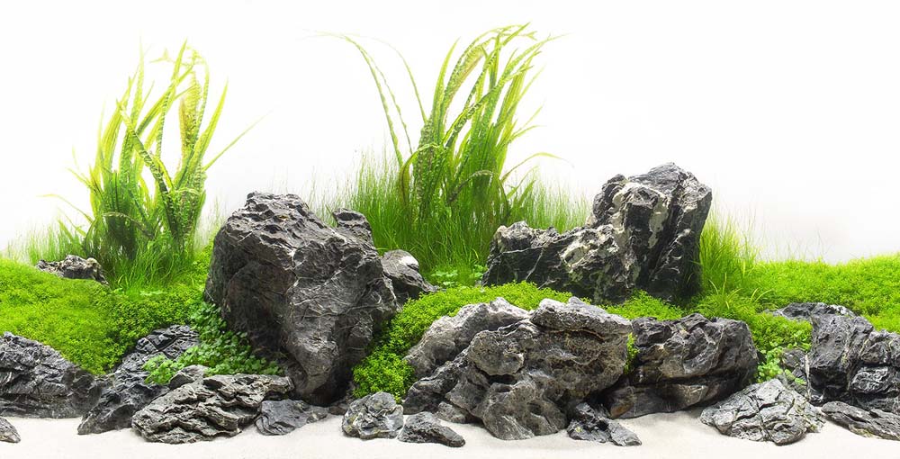 Seaview Double Sided Background Amazonia & Green Spike 18 Inches X 50 Feet - Image 2