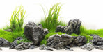 Seaview Double Sided Background Amazonia & Green Spike 18 Inches X 50 Feet - Image 2