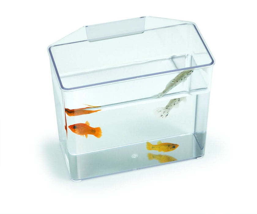 Lee's Aquarium & Pet Products Break Resistant Specimen Container Clear LG