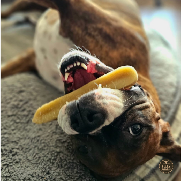 Bully Bunches Himalayan Yak Chew (LARGE)