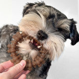 Nylabone Strong Chew Textured Ring Dog Chew Toy Made with Real Beef & Chicken Small (1 Count)