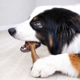 Nylabone Strong Chew Femur Bone Dog Chew Toy Made with Real Bison & Venison Large (1 Count)