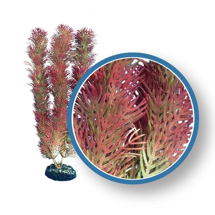 Weco Products Freshwater Pro Series Cabomba Aquarium Plant Red 12 in