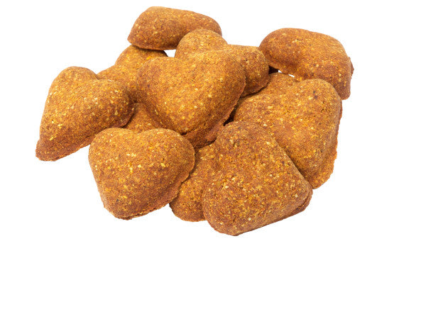 Darford Grain Free Pumpkin Recipe Biscuits Regular 12oz