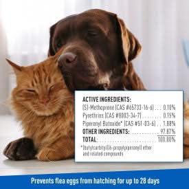Adams Plus Flea & Tick Shampoo with Precor 12 fluid ounces