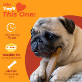 Nylabone Strong Chew Original Bone Dog Chew Toy Made with Real Chicken Small (1 Count)
