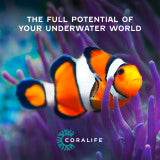 Coralife SMART BioCube Jr. 14 Gallon