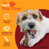 Nylabone Strong Chew Femur Bone Dog Chew Toy Made with Real Bison & Venison Small (1 Count)