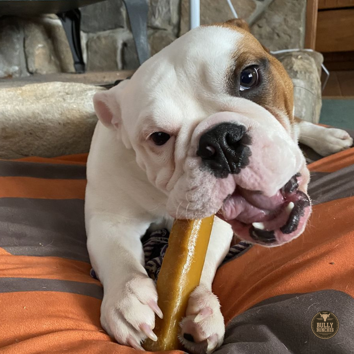 Bully Bunches Himalayan Yak Chew (MEDIUM)