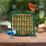 C&S EZ Fill Suet Basket, Holds One Suet Cake, 8 Ounces (Pack of 8)