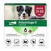 Elanco Advantage II Topical Flea Treatment & Prevention for Dogs 6-Month Supply LG Dogs (21-55lbs) - Image 2