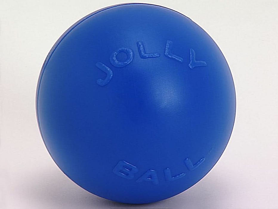 Jolly Pet Push-n-Play Plastic Dog Toy Blue LG 10in